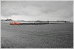 Colorkeyaufnahme der Diesellok 2143 ...  Leitner Thomas 05.05.2010