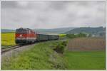 2143 038 am 2.5.2010 ...  Hanspeter Reschinger 17.05.2010
