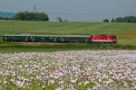 BR 2143 073 mit ...  Gerhard Zant 06.06.2010