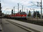 br-2143 Doppelbespannung 2143 mit Schnittholzwaggons bei der Durchfahrt durch den Hauptbahnhof St. P�lten auf Gleis 2, Richtung Wien, Wetsbahnstrecke, vorne die 2143 058 2