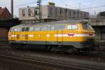 Wiebe (326 Photos)