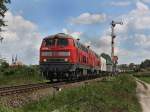 Die 217 019 und die 217 012 am 09.08.2010 mit ...
