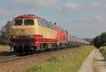 217 002-5 und 217 ...  Martin Morkowsky 22.08.2011
