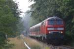 218 330-9 schiebt am ...  Stefan Bahr 08.01.2010