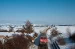 DGS 88297 (Wilchingen-Hallau - ...  Marvin 19.02.2010