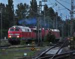 ein kleiner Lokzug verl��t ...  Frank Kropp 25.06.2010