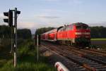 In der tiefstehenden Sonne ...  Maximilian Sch�n 29.04.2011