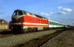 219 005 Schwanheide 28.09.94  ...