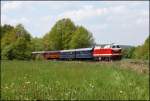 119 158 h�ngt am Zugschluss des Sonderzuges aus Berlin. (22.05.2010) ...