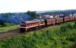 br-220-dr-v-200-dr-120 220 041  Zeitz  11.08.93