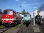 Die Dresdner 130 002-9, ...  Alexander Hertel 28.08.2010