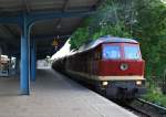 BR 231 (DR 131) (106 Photos)