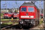 BR 232 Lokportraits 232 534-8 im Schlepp von 189 063-1 aus Mukran.  Stralsund am 17.09.09 