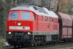 Die 232 428-3 zieht ...  Eric Otten 23.11.2009