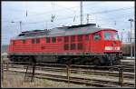 232 421-8 abgestellt im Bhf Neustrelitz. am 29.03.08  ...