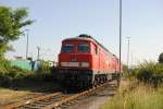 232 675-8 in EX BW-Lehrte, am 07.08.2010.  ...