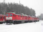 232 909-2, 232 673-4 ...  Alexander Hertel 23.12.2010