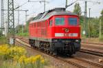 232 583-5 am 17.08.11 ...  Volker St�ckmann 17.08.2011