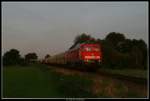Im letzten Licht f�hrt 232 528 am 9. September 2009 ...