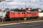 BR 233 233 478 steht am 01.04.2010 im Bahnhof Angerm�nde