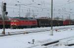 233 705-3 f�hrt am ...  Maik Gentzmer 08.02.2010