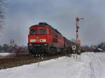 Die 233 594 am 17.02.2010 mit einem G�terzug unterwegs bei ...