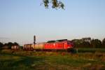 BR 233 mit Zugen 233 511-5 mit einem gut ausgelasteten G�terzug am 19.07.10 bei Markt Schwaben.