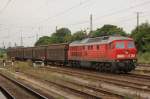 BR 233 mit Zugen Mit einem kurzen Zug Schiebewandwagen f�hrt 233 450-6 durch Magdeburg Hbf in Richtung Magdeburg-Neustadt. Fotografiert am 29.07.2010. 