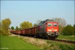 BR 233 mit Z�gen (508 Photos)