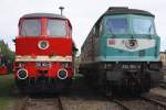 130 002-9 und 234 304-4 am 29.08. 10 beim Dampflokfest in ...