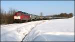 Am 05.01.2011 Kesselwagenzug mit ...  Heinz-Ulrich L�we 11.01.2011