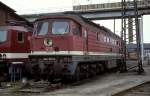 242 001  Stralsund ...  Werner Brutzer 11.01.2011