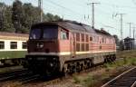 142 002  Stralsund ...  Werner Brutzer 11.01.2011