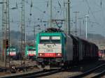 Cobra 186 205 (2813) ...  Mario Sch�rholz 30.01.2012