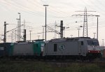 BR 285 (236 Fotos)