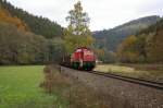 290 505-7 mit G�terzug nach Lobenstein am 26.10.2009 im Sormitztal ...