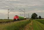 294 797 hing am 23.06.2010 vor dem M�llzug in Mangolding. ...