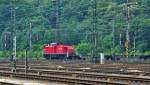 294 880-0 Railion mit Flachwagen, unter dem Drahtverhau der Oberleitungen, ...