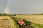294 662-2 mit der ...  Robert Heinzke 09.08.2011