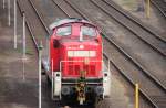 BR 295 (206 Fotos)