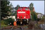 BR 298 Nochmals zu den von Jens-Peter Schl�r angesprochenden Clean-Schnecken Test`s. (http://www.bahnbilder.de/name/einzelbild/number/352275/kategorie/suchen.html)
Hier musste ich mit ansehen, wie die Reste der Clean-Schnecke 3 geborgen wurden.
Stralsund am 23.09.09
