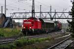 BR 298 (438 Fotos)