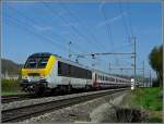 In Schieren f�hrt am 25.04.10 die 3005 mit dem IR ...