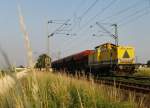 Hier am 03.07.2010 eine Lok der Deutsche Bahn Gleisbau GMBH ...