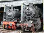Dampfspektakel 2010. Zwei m�chtige Dampfr�sser (38 1772 und 58 311) ...