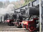 38 1772,52 8134-0,78 468,und die T11 des Mindener Preu�enzuges stehen ...