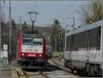 BR 4000 Seltene Zugbegegnung im Bahnhof von Wilwerwiltz. Am 18.03.10 verl�sst der IR nach Liers den Bahnhof, w�hrend der IR nach Luxemburg dort einf�hrt. (Jeanny)