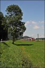 br-4024 4024 095 und ein Schwestertriebzug sind als RB 5119 von Rosenheim nach Telfs-Pfaffenhofen unterwegs. (06.08.2009 bei Niederaudorf)