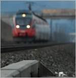 Wiesel trifft Ente - ...  Leitner Thomas 23.12.2011