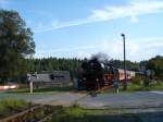BR 41 mit Sonderzug ...  rainer ullrich 09.11.2009